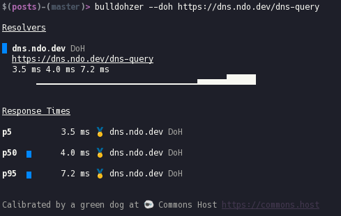 dns.ndo.dev screenshot